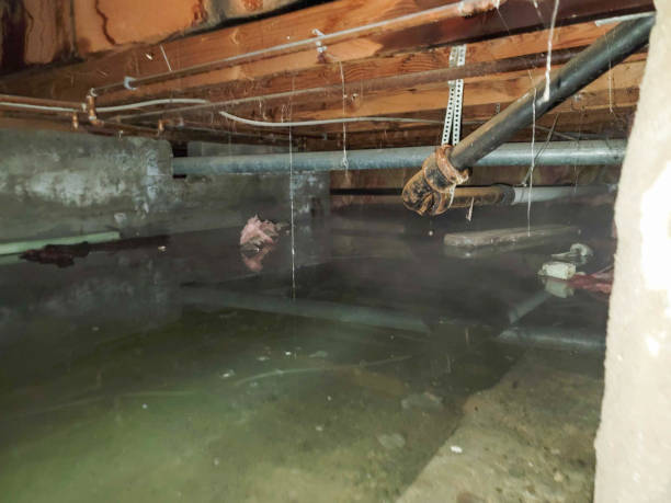 Water damage restoration mold remediation in WA