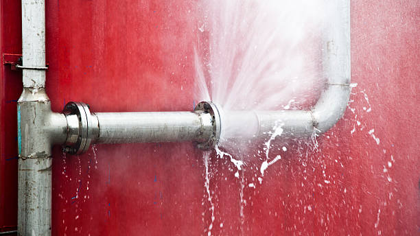 Best Sewage cleanup and water damage restoration  in Shougal, WA